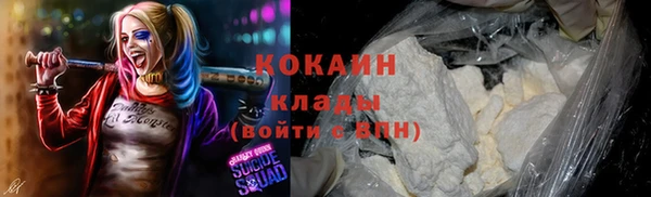 PSILOCYBIN Киренск