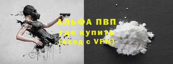 PSILOCYBIN Киренск