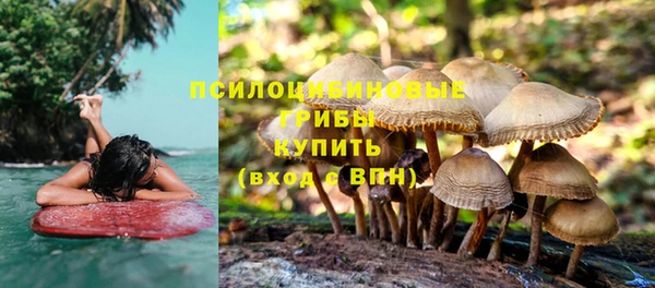 ECSTASY Кинешма