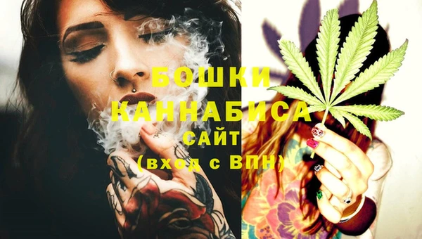 PSILOCYBIN Киренск