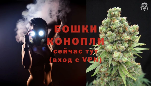 PSILOCYBIN Киреевск