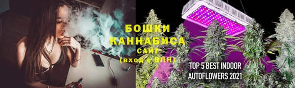 PSILOCYBIN Киренск
