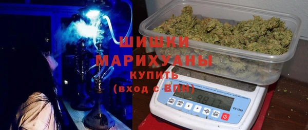 PSILOCYBIN Киренск