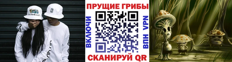 Купить закладки  Галич  Галлюциногенные грибы MAGIC MUSHROOMS 